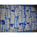 Good Quality Normal White Garlic From Jinxiang